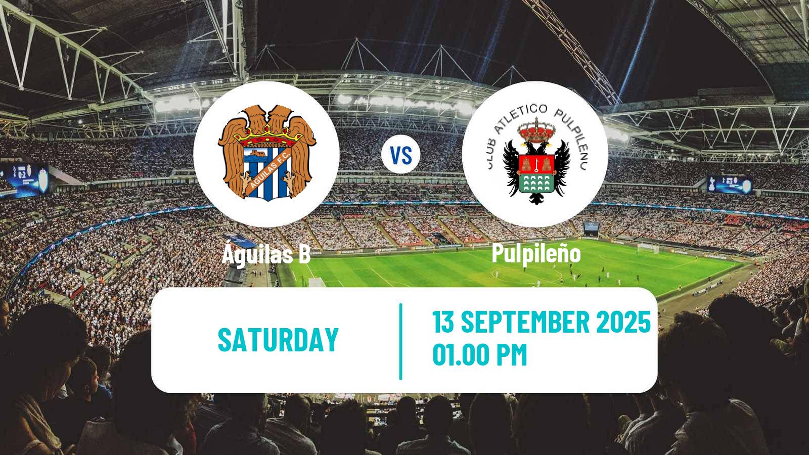 Football Spanish Tercera RFEF - Group 13 Águilas B - Pulpileño