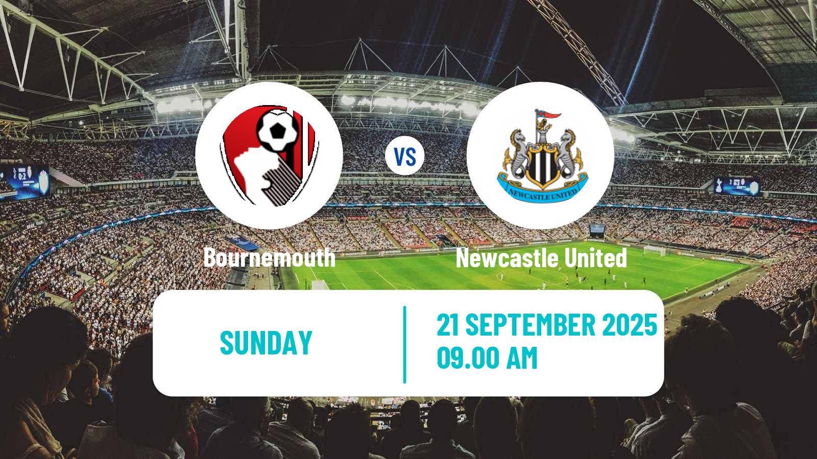 Football English Premier League Bournemouth - Newcastle United