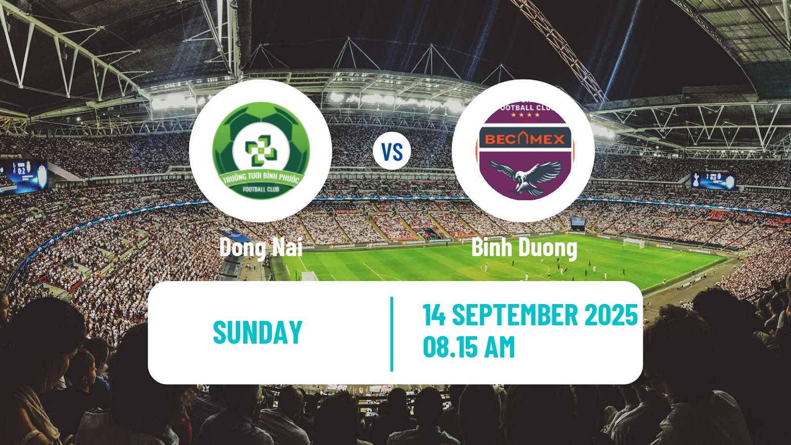 Football Vietnamese Cup Dong Nai - Binh Duong