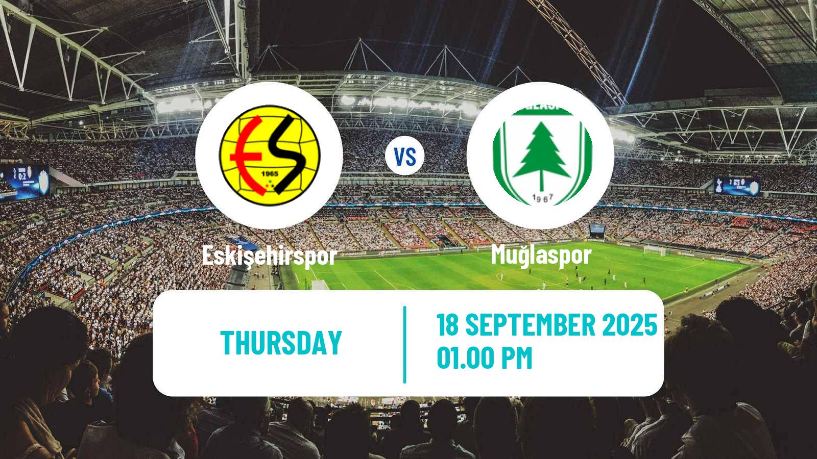 Football Turkish Cup Eskişehirspor - Muğlaspor