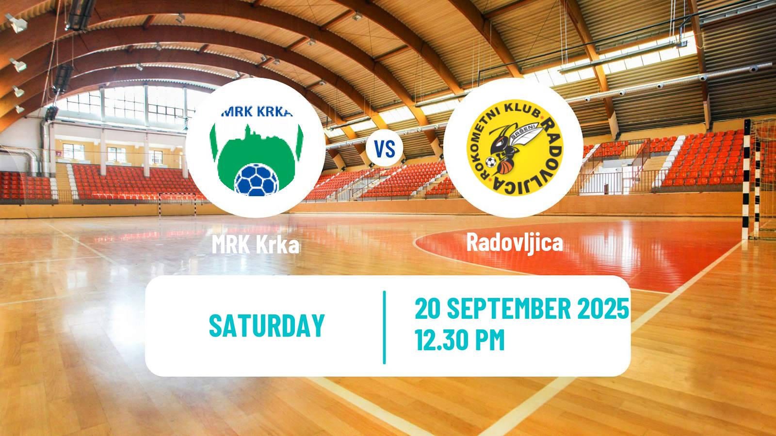 Handball Slovenian 1 NLB Liga Handball Krka - Radovljica