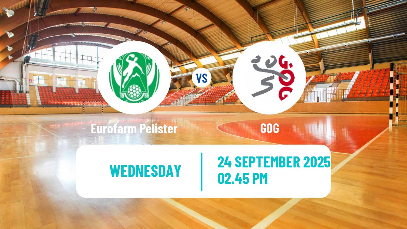 Handball EHF Champions League Eurofarm Pelister - GOG