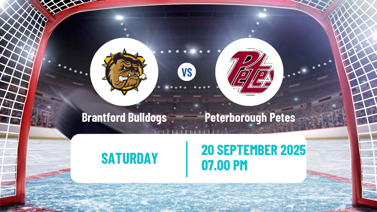 Hockey OHL Brantford Bulldogs - Peterborough Petes