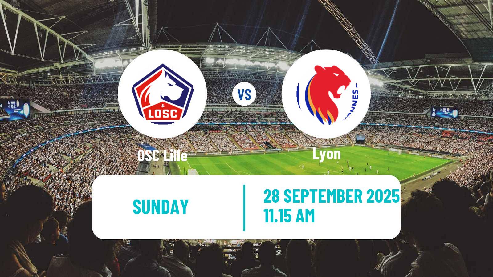 Football French Ligue 1 Lille - Lyon