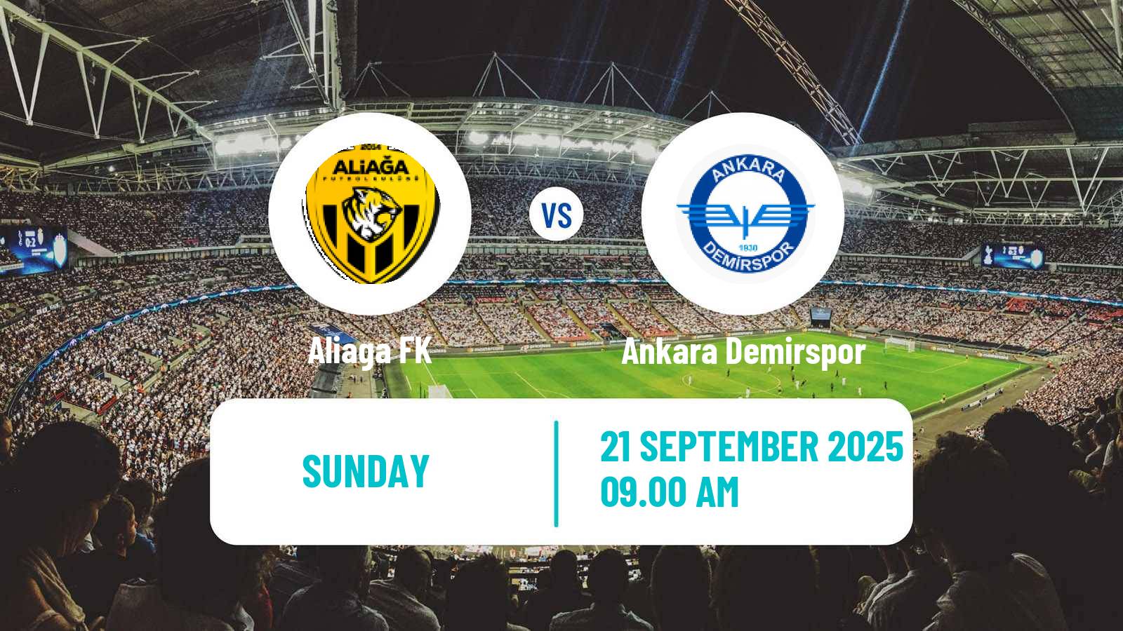 Football Turkish Second League Red Group Aliaga - Ankara Demirspor