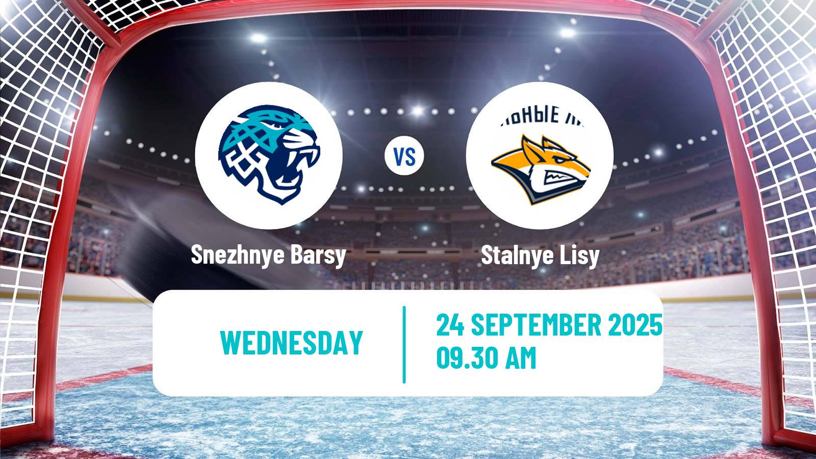 Hockey MHL Snezhnye Barsy - Stalnye Lisy