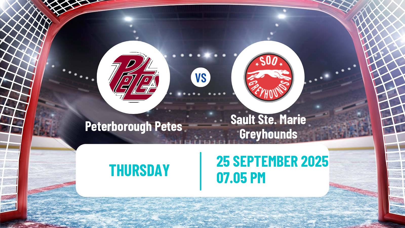 Hockey OHL Peterborough Petes - Sault Ste. Marie Greyhounds