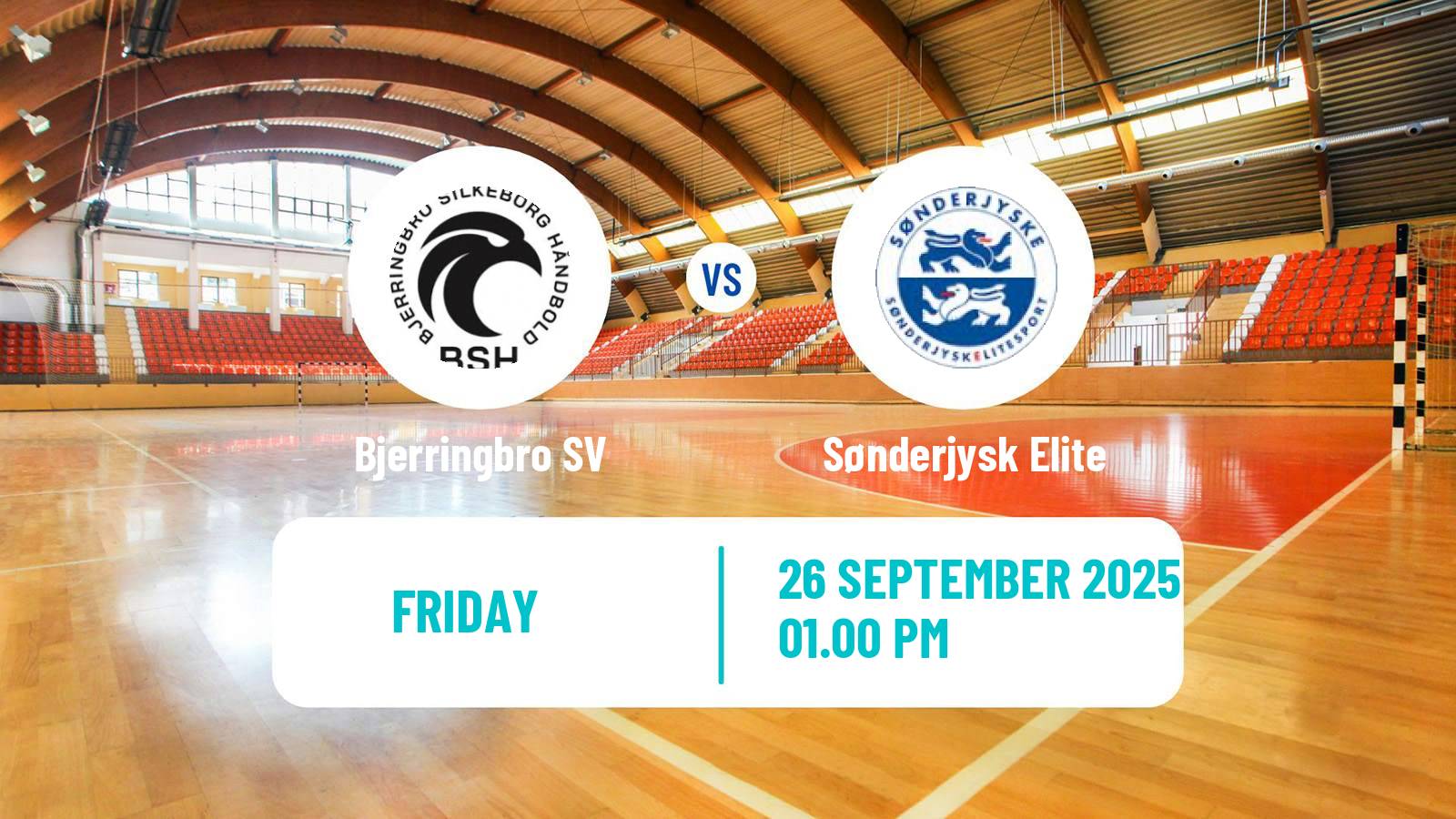 Handball Danish Handbold Ligaen Bjerringbro SV - Sønderjysk Elite