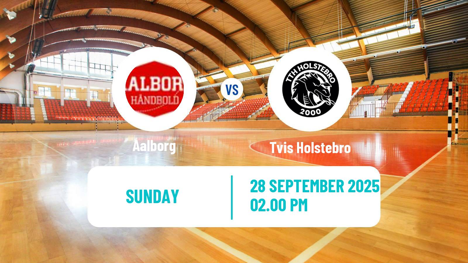 Handball Danish Handbold Ligaen Aalborg - Tvis Holstebro