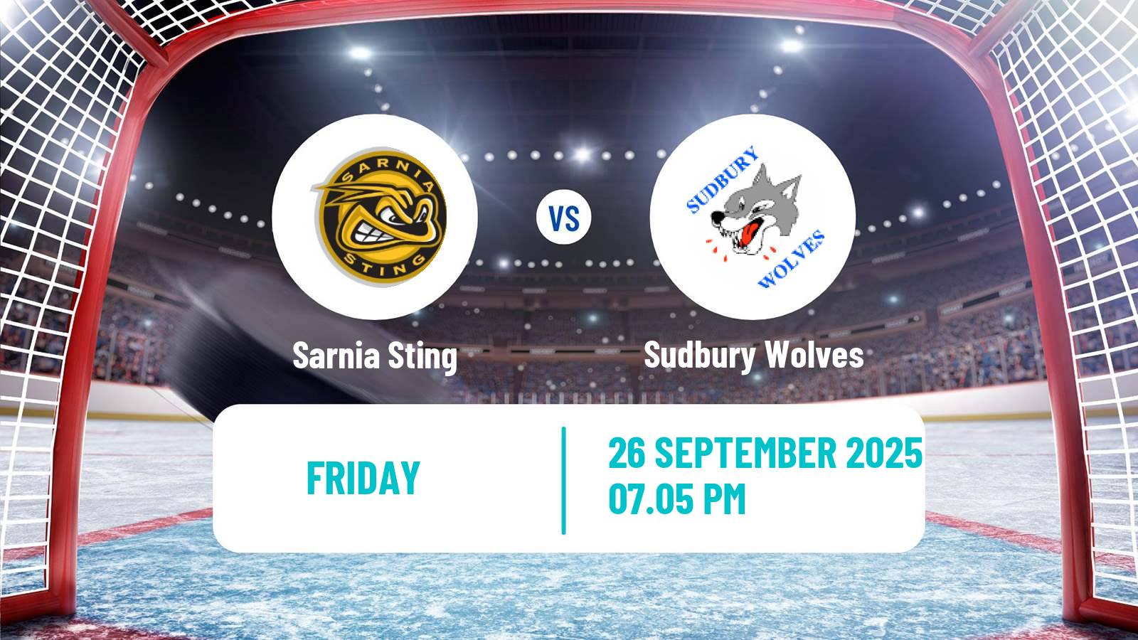Hockey OHL Sarnia Sting - Sudbury Wolves