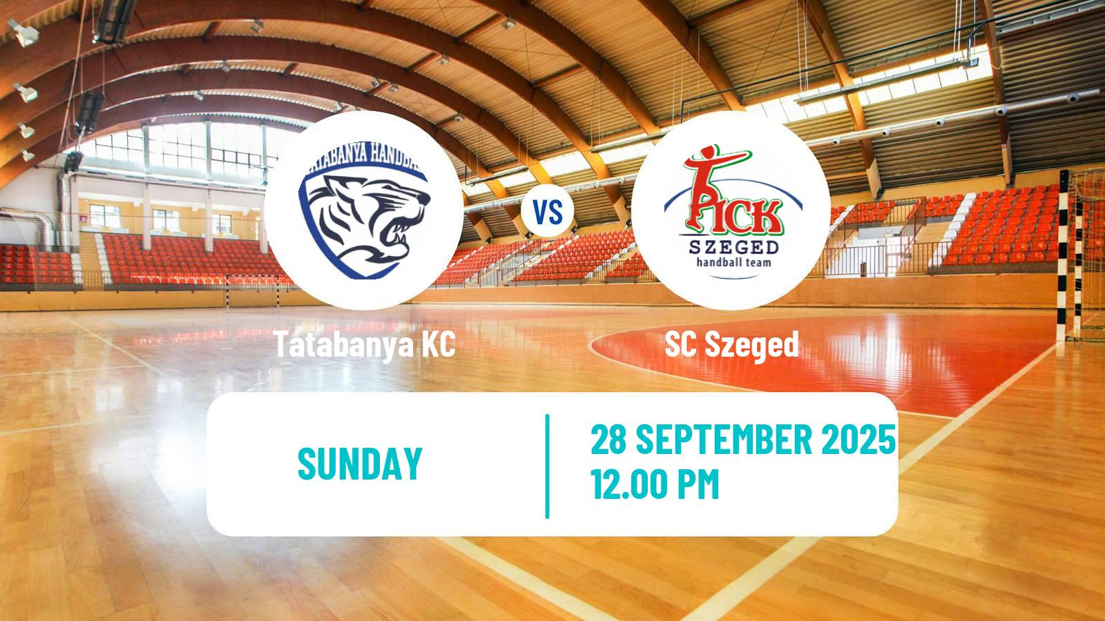 Handball Hungarian Division 1 Handball Tatabanya - Szeged