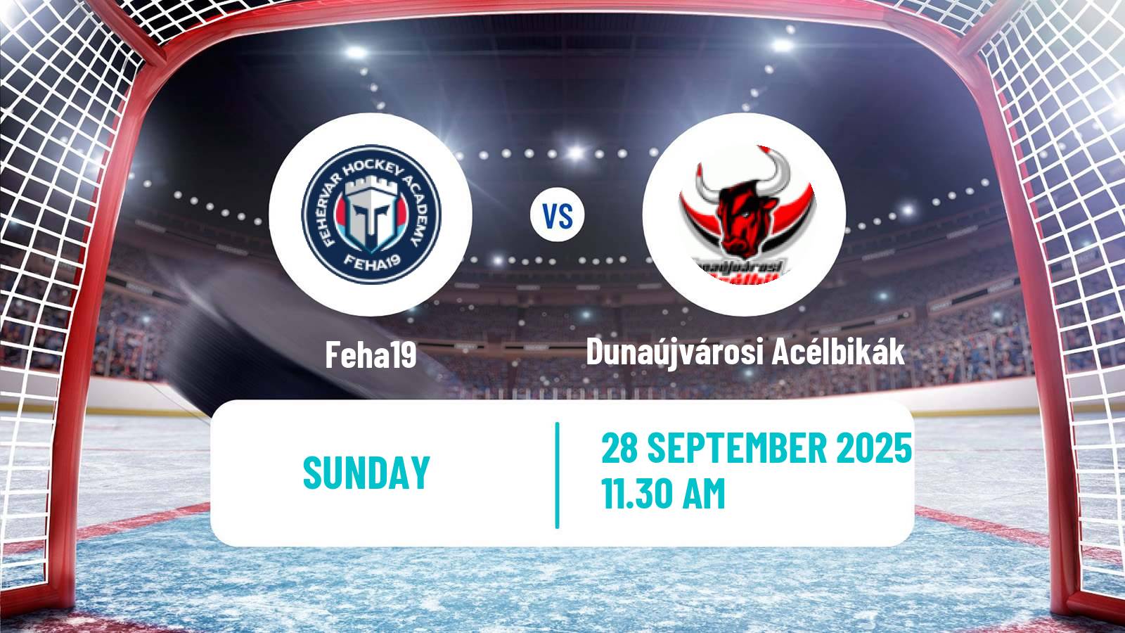 Hockey Hungarian Erste Liga Hockey Feha19 - Dunaújvárosi Acélbikák