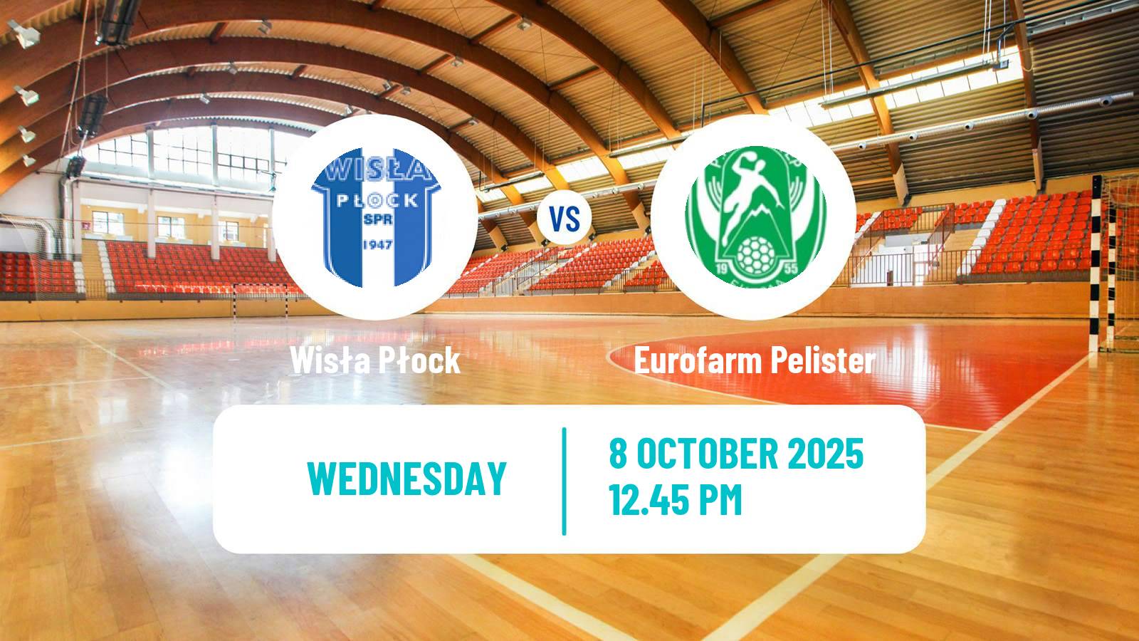 Handball EHF Champions League Wisła Płock - Eurofarm Pelister