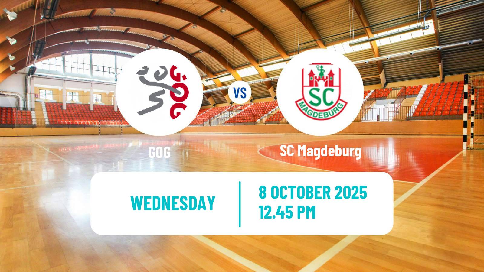 Handball EHF Champions League GOG - Magdeburg
