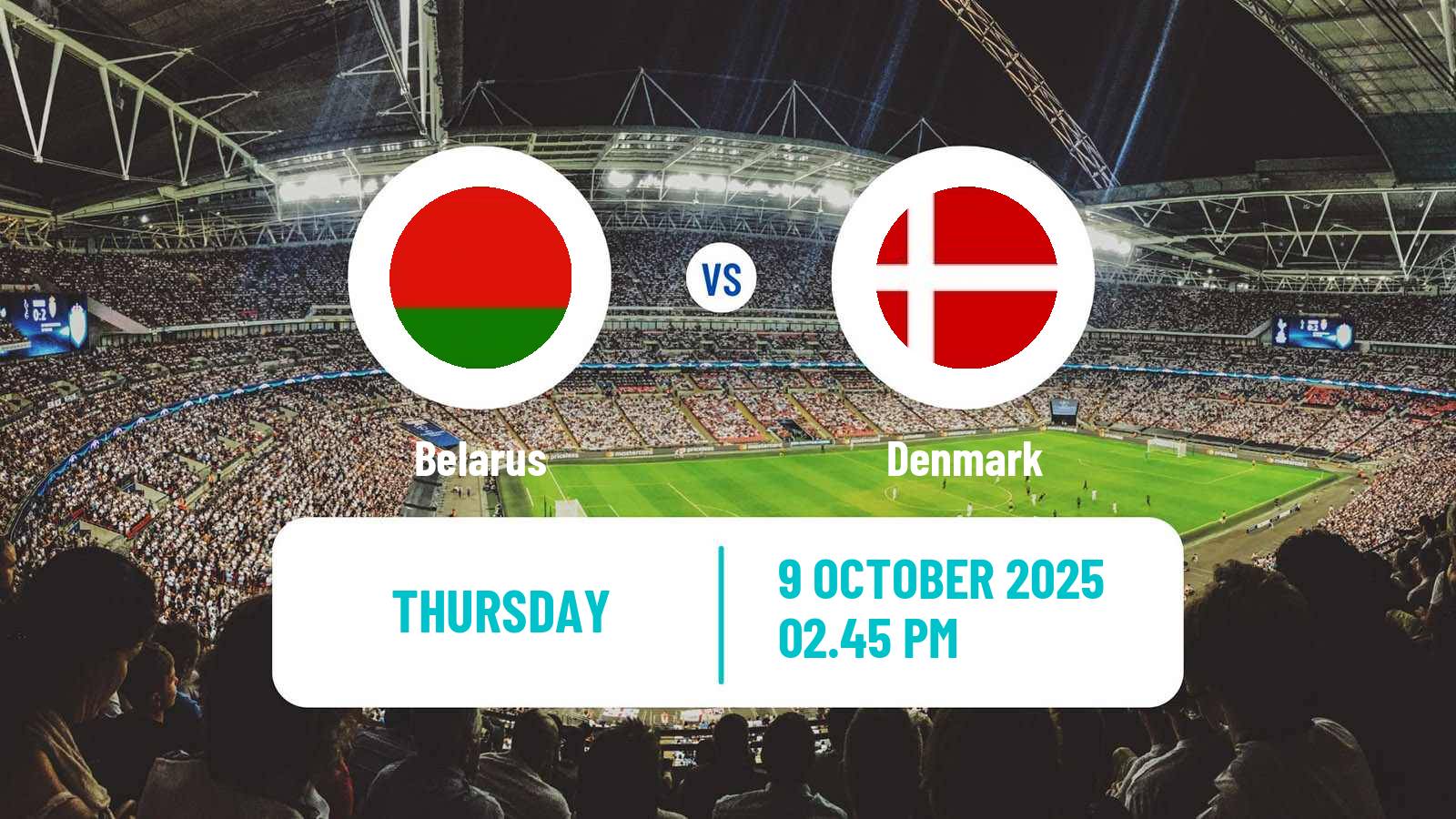 Football FIFA World Cup Belarus - Denmark Football FIFA World Cup Belarus - Denmark