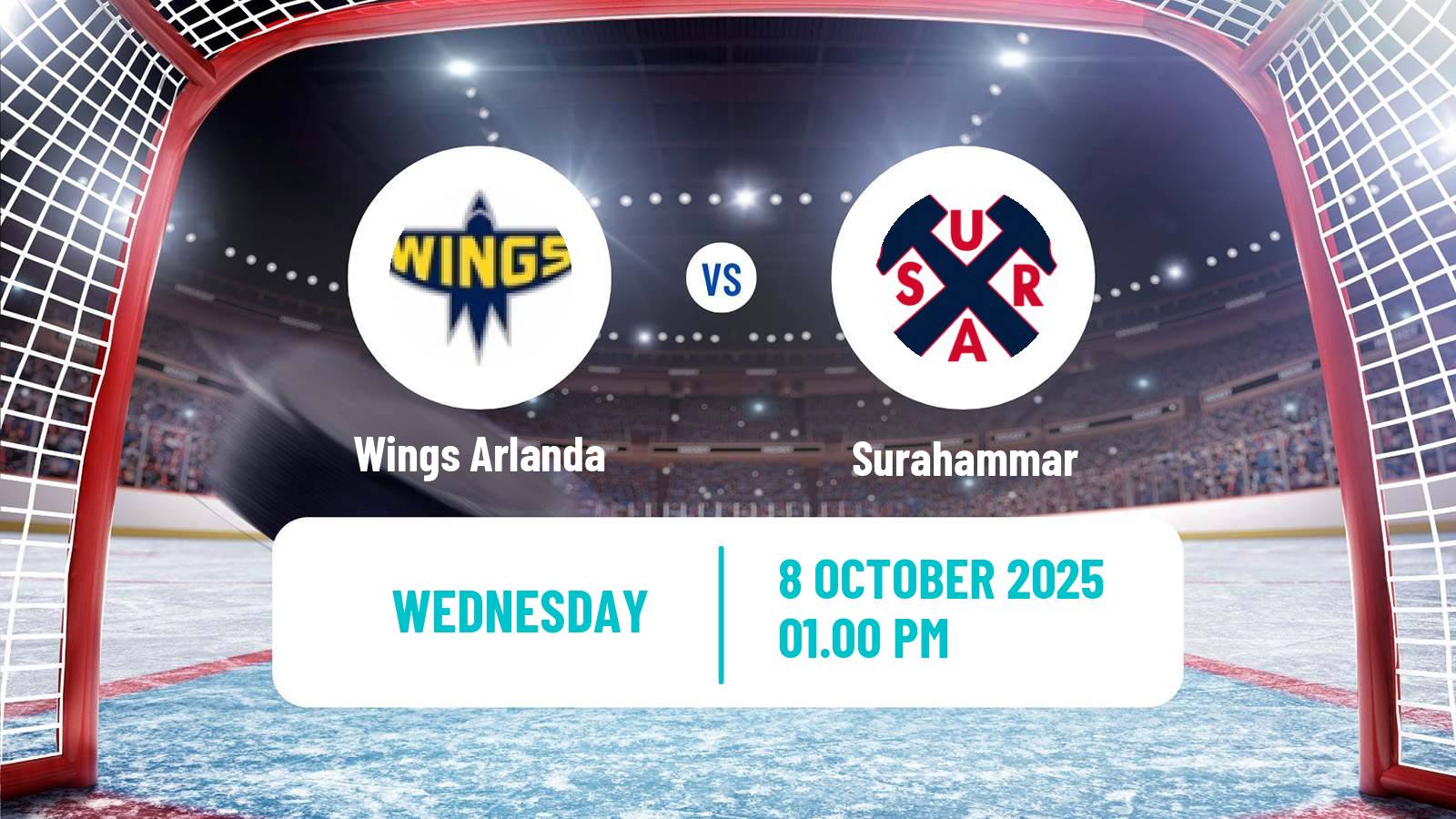 Hockey Swedish HockeyEttan Norra Wings Arlanda - Surahammar