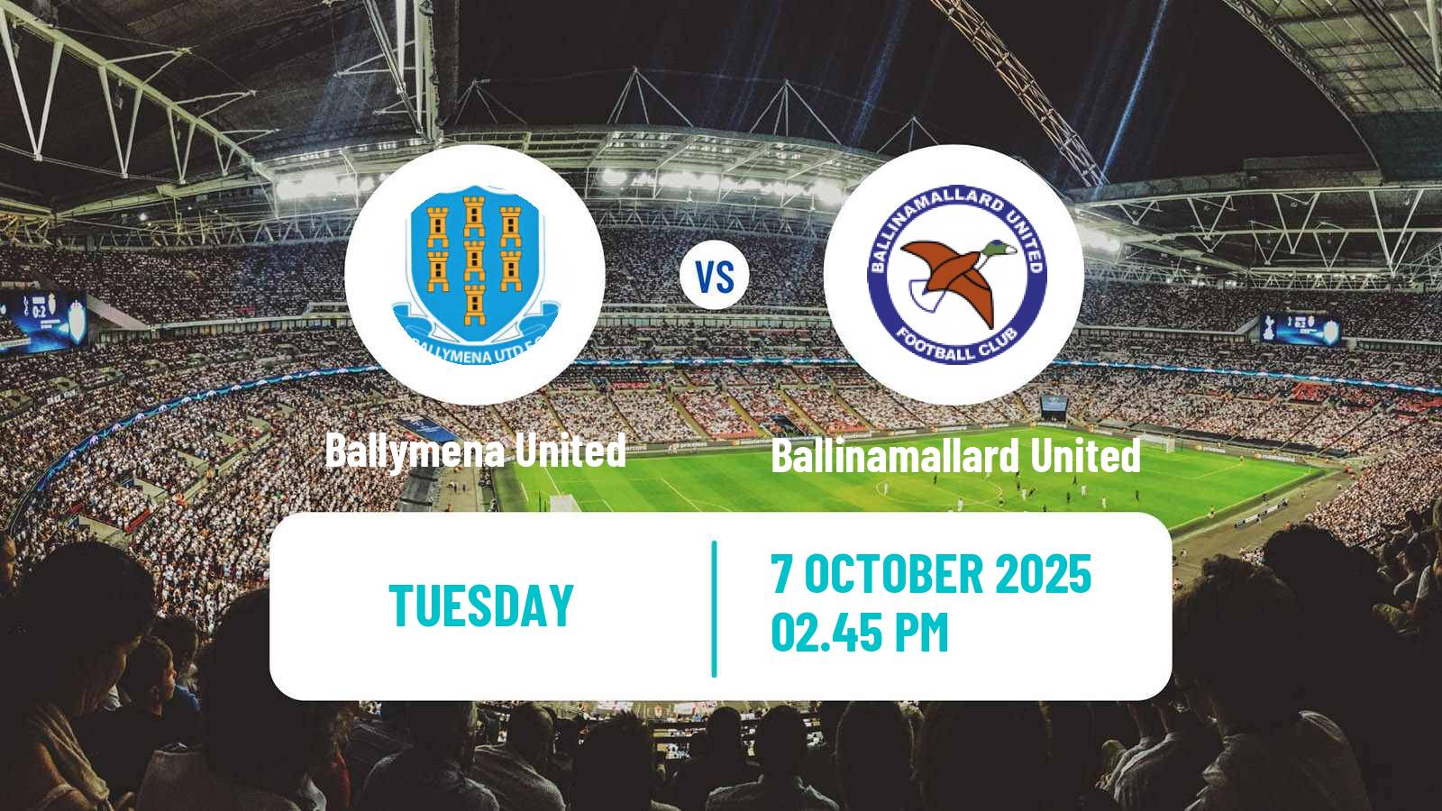 Football Northern Irish League Cup Ballymena United - Ballinamallard United