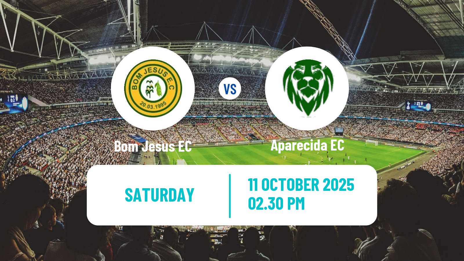 Football Brazilian Goiano 3 Bom Jesus - Aparecida