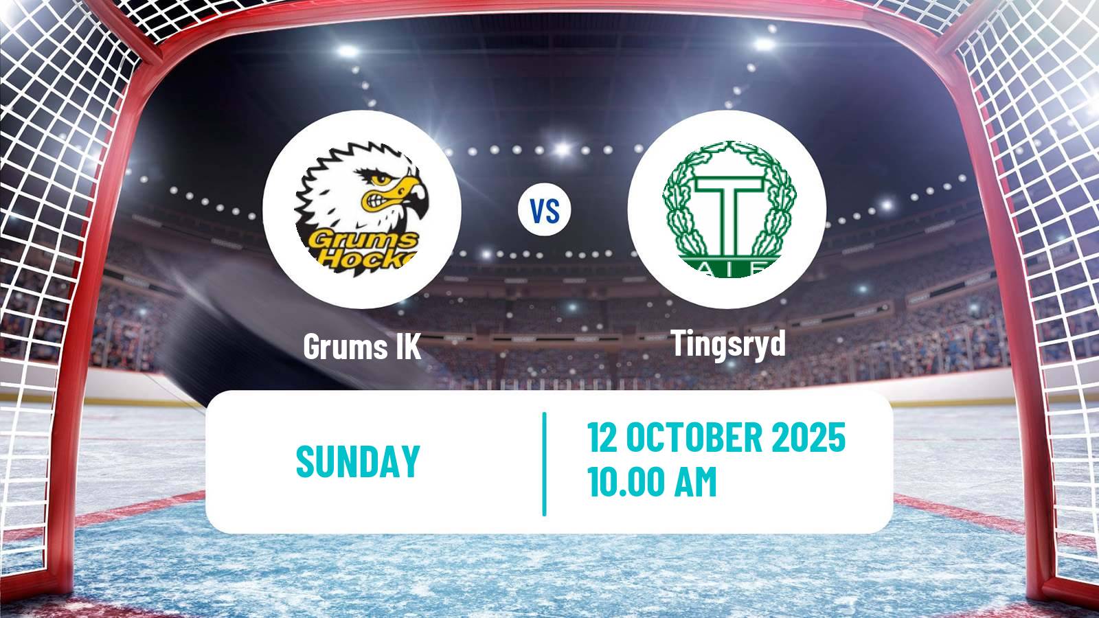 Hockey Swedish HockeyEttan Sodra Grums - Tingsryd