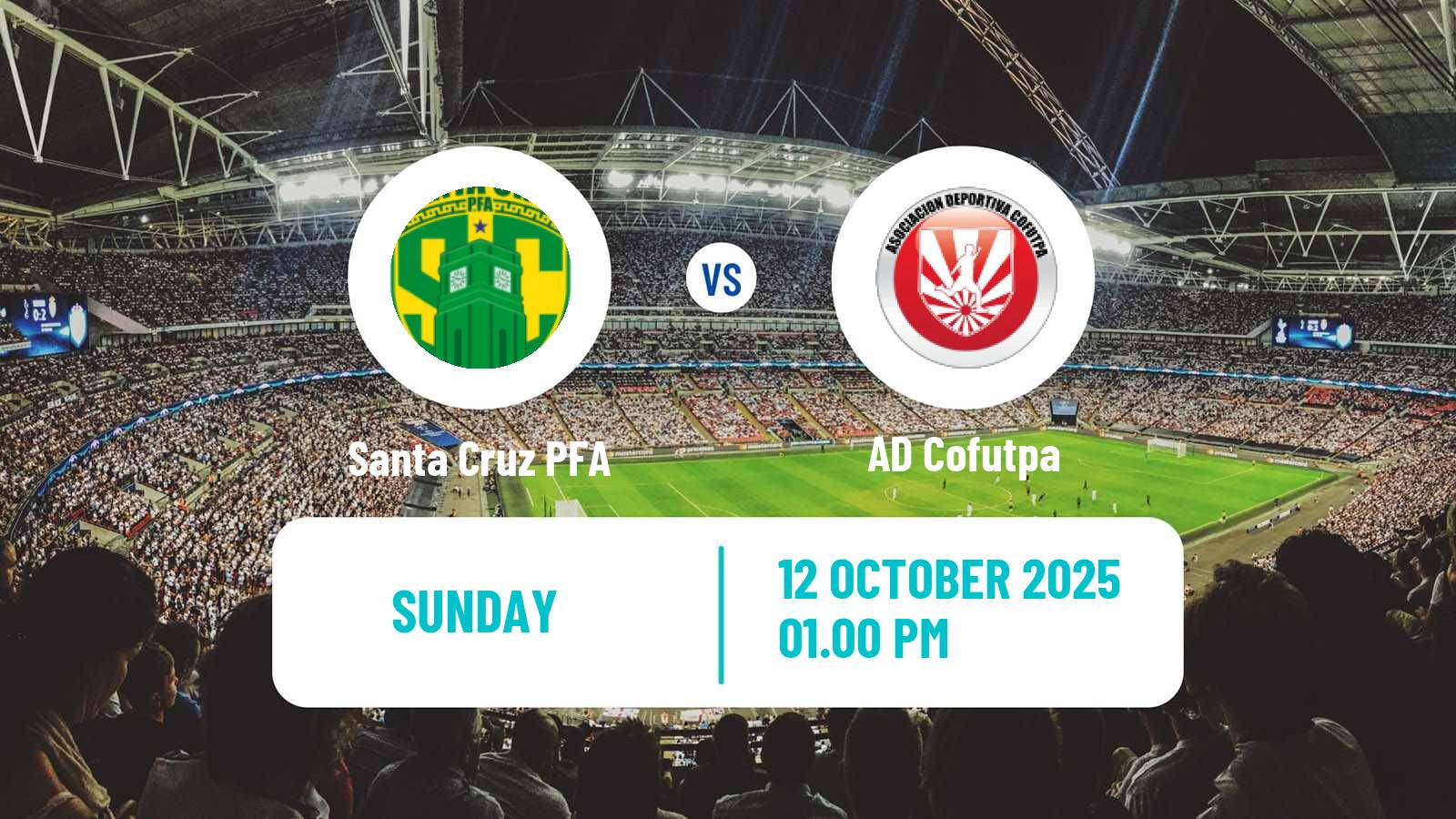 Football Costa Rican Liga de Ascenso Santa Cruz PFA - Cofutpa