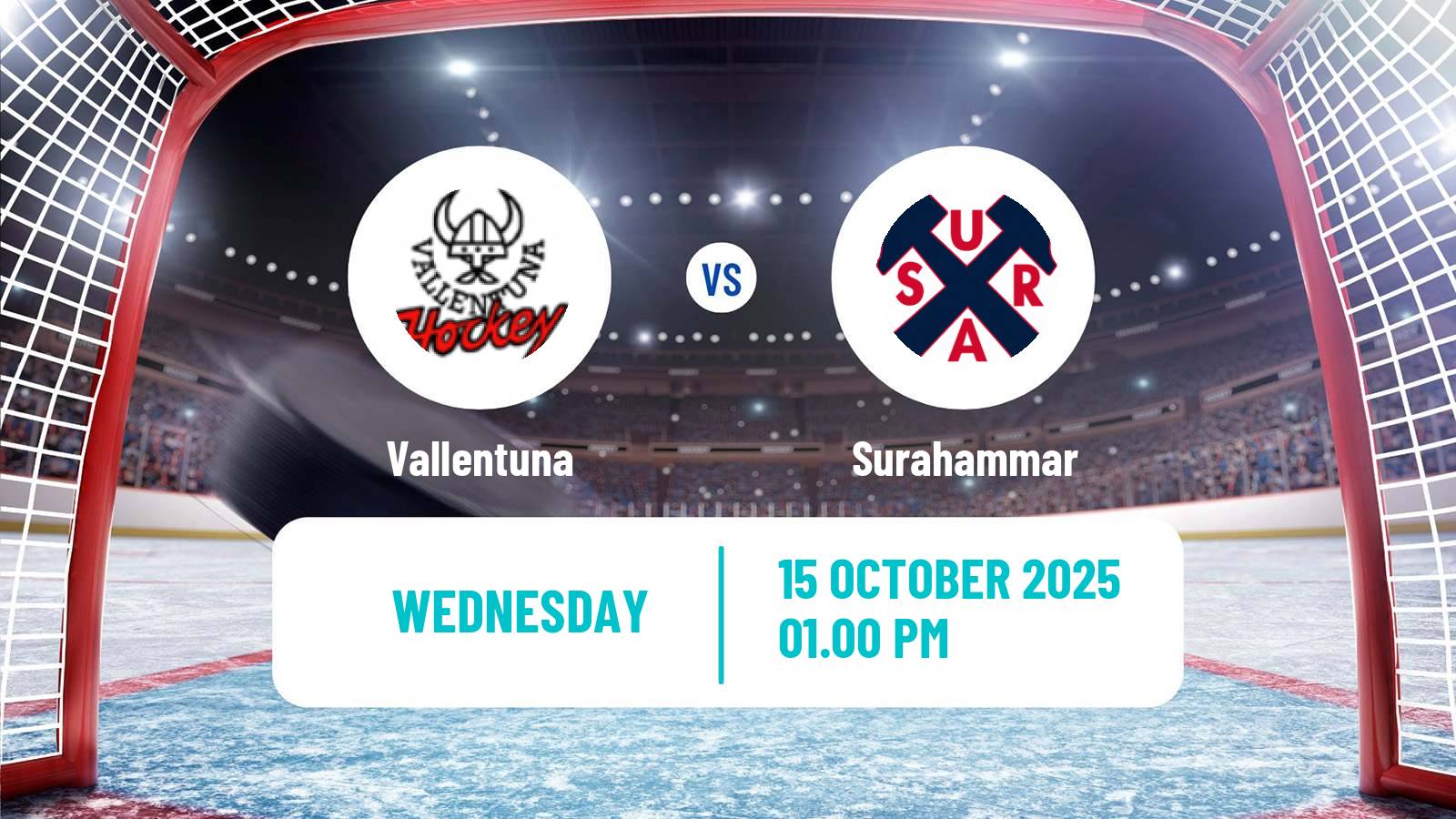 Hockey Swedish HockeyEttan Norra Vallentuna - Surahammar
