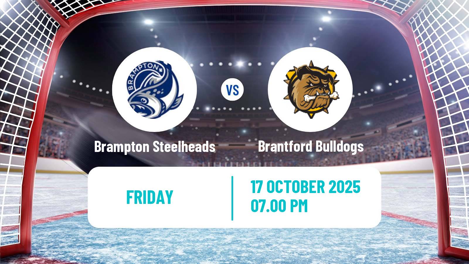 Hockey OHL Brampton Steelheads - Brantford Bulldogs