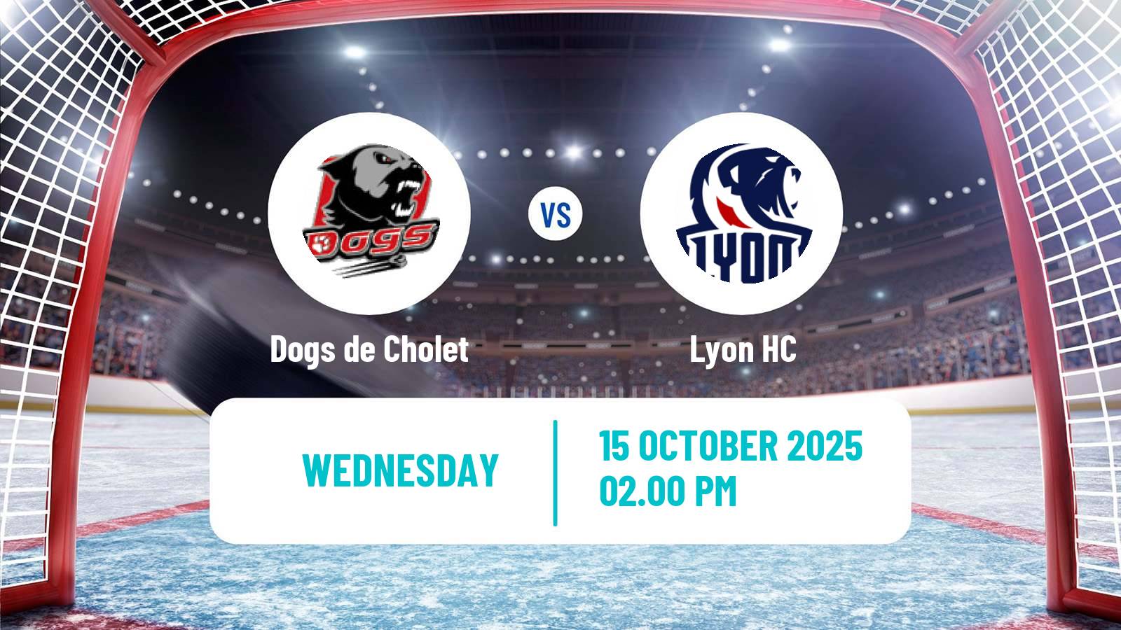 Hockey French D1 Ice Hockey Dogs de Cholet - Lyon