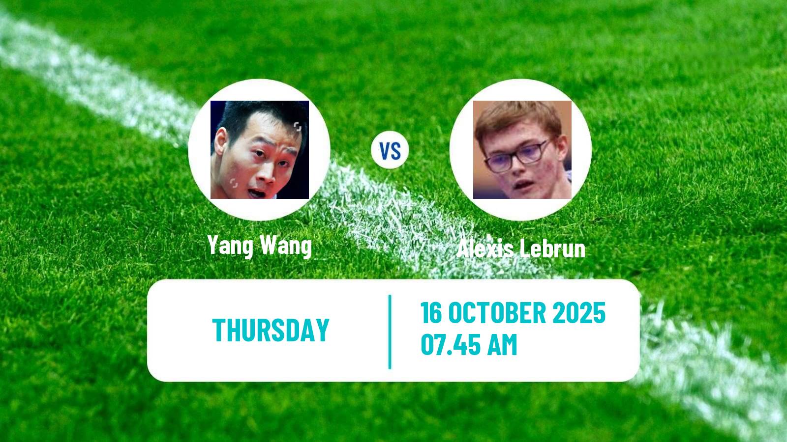 Table tennis European Team Championships Men Yang Wang - Alexis Lebrun