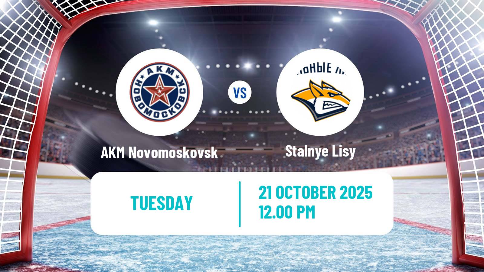 Hockey MHL AKM Novomoskovsk - Stalnye Lisy
