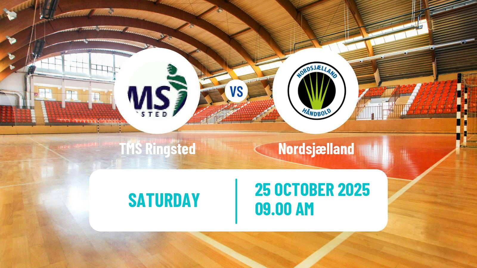 Handball Danish Handbold Ligaen Ringsted - Nordsjælland