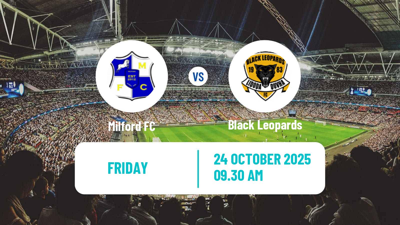 Football South African First Division Milford - Black Leopards
