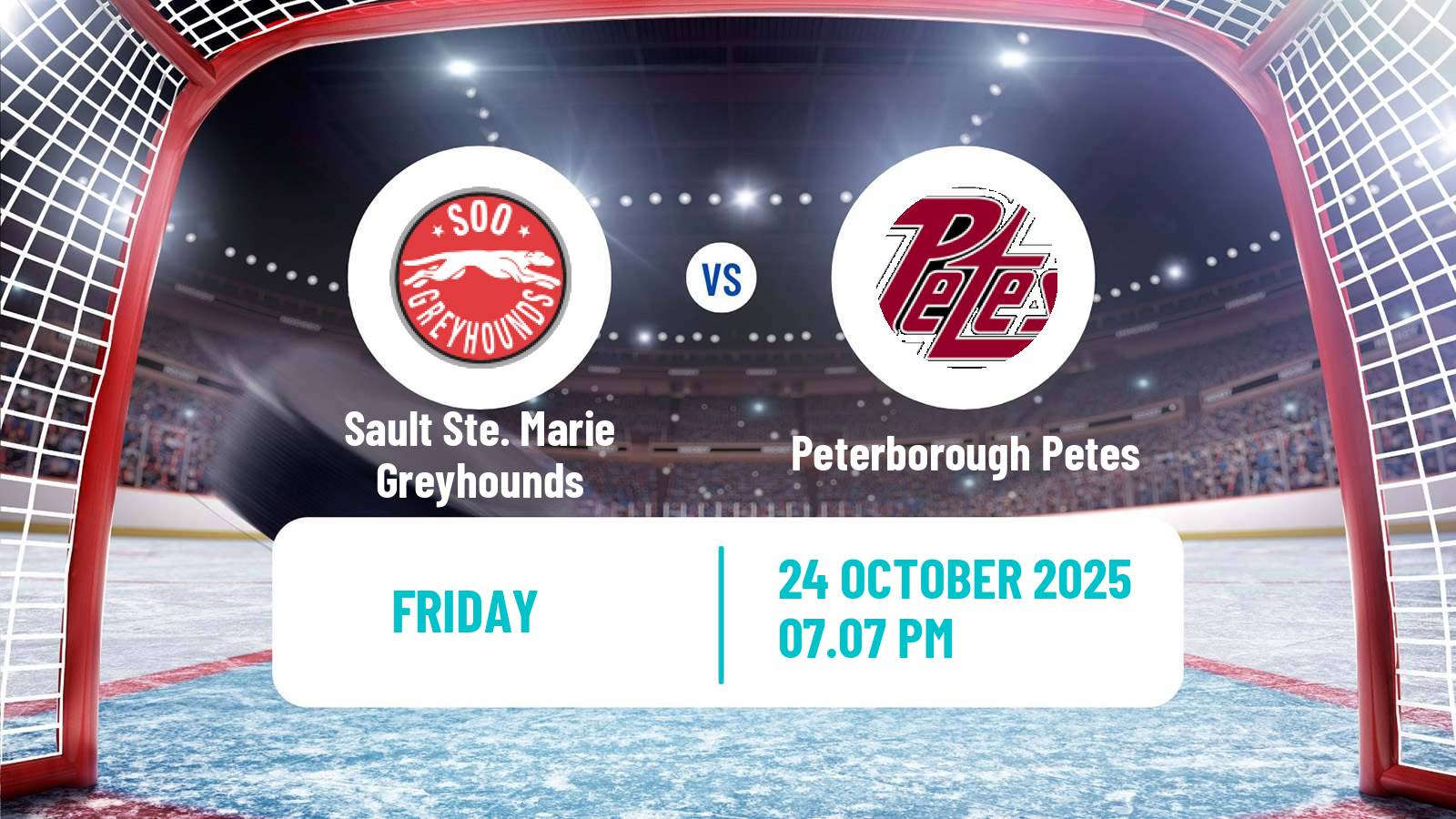 Hockey OHL Sault Ste. Marie Greyhounds - Peterborough Petes