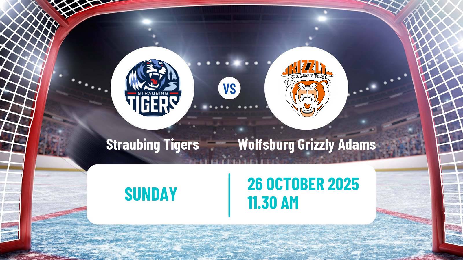 Hockey German Ice Hockey League Straubing Tigers - Wolfsburg Grizzly Adams