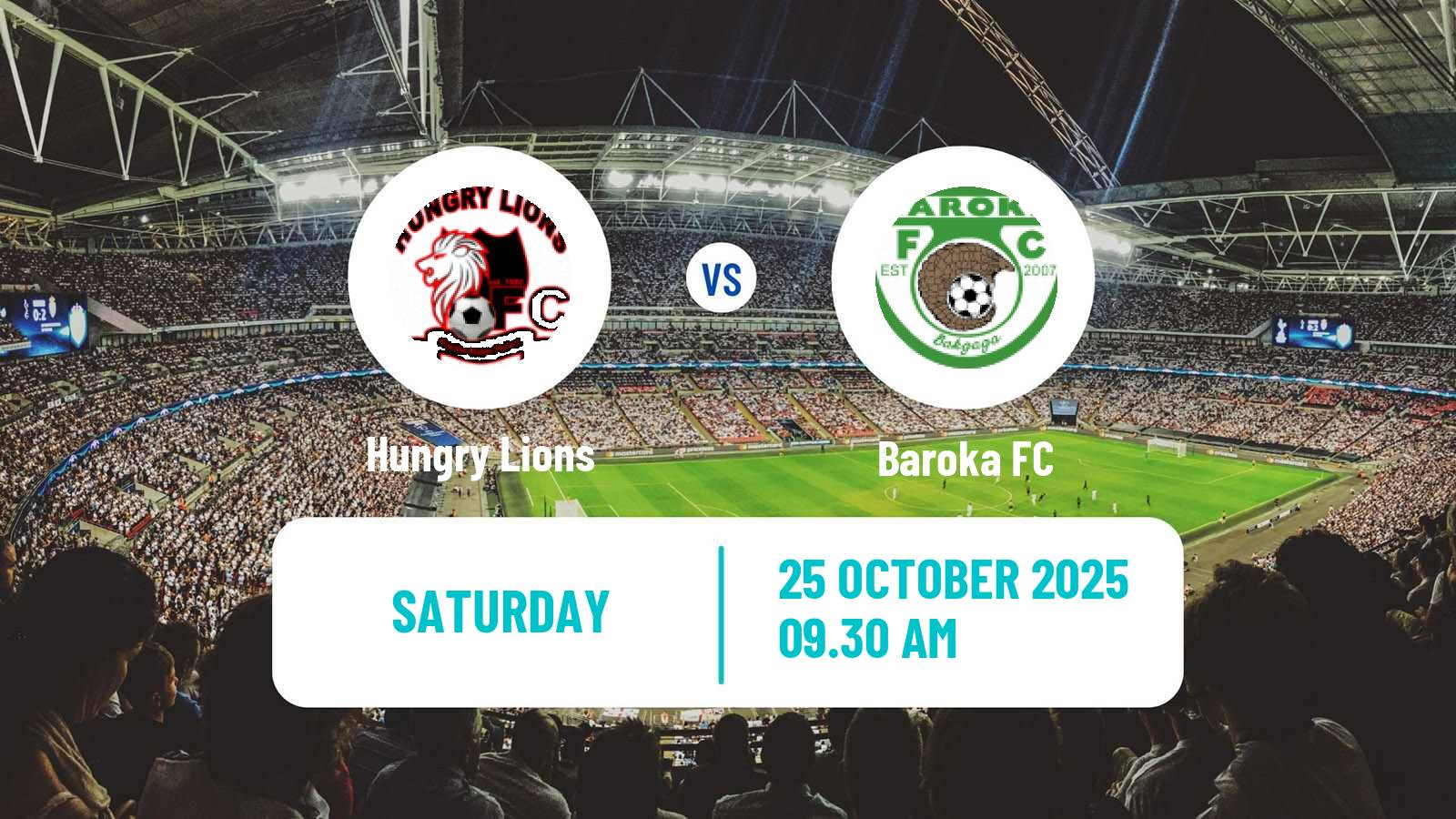 Football South African First Division Hungry Lions - Baroka