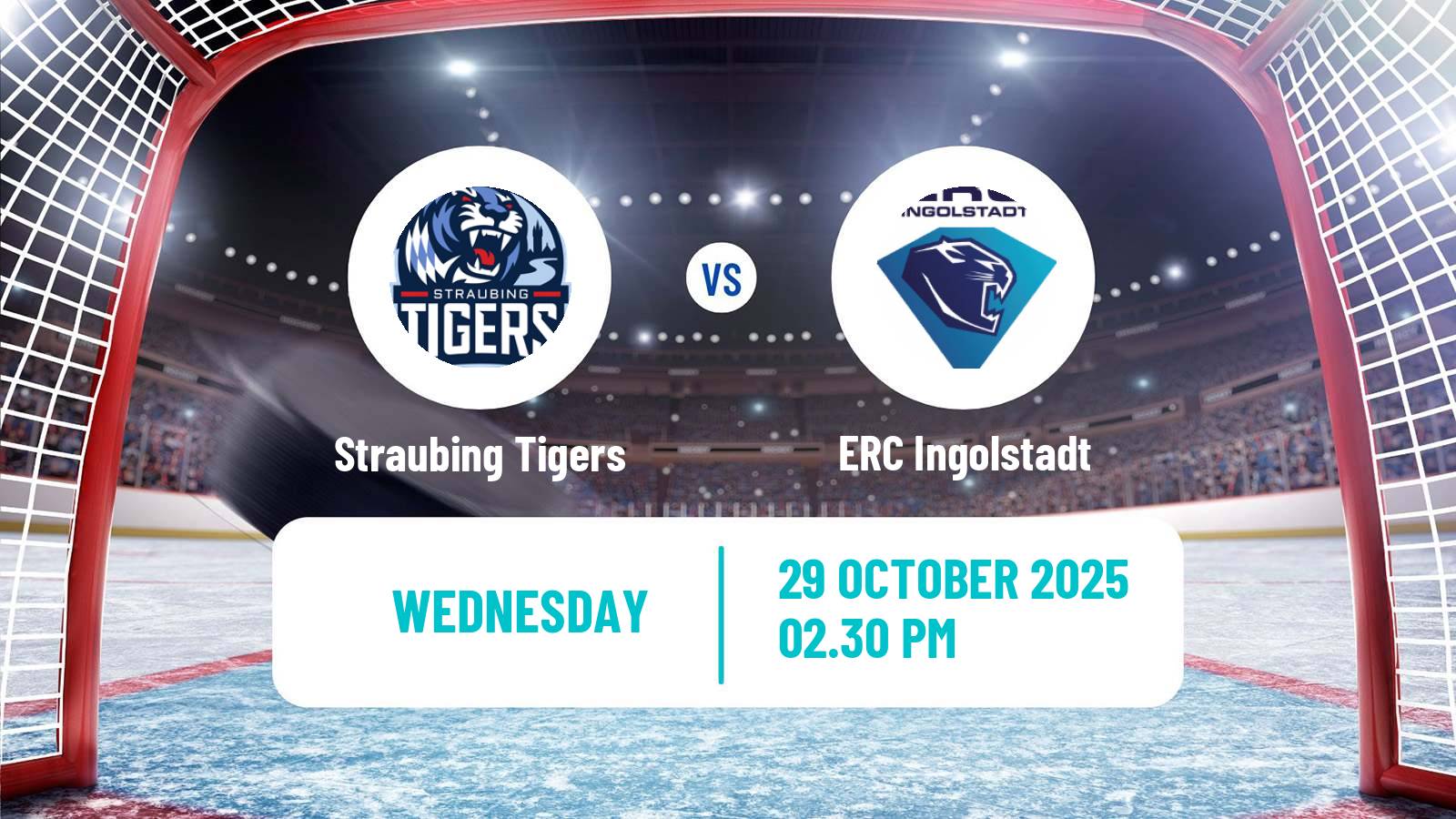 Hockey German Ice Hockey League Straubing Tigers - ERC Ingolstadt