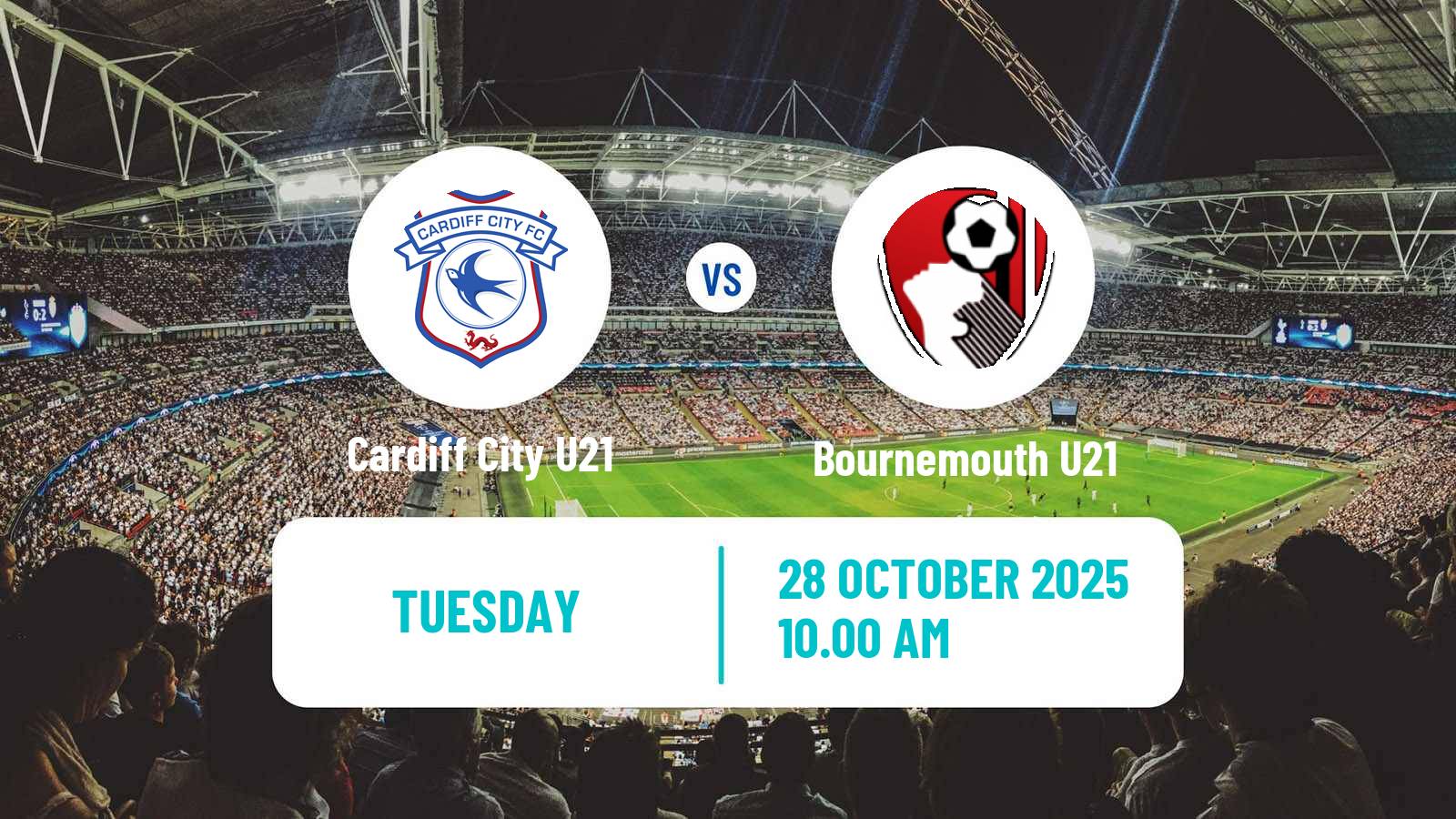 Football English Professional Development League Cardiff City U21 - Bournemouth U21