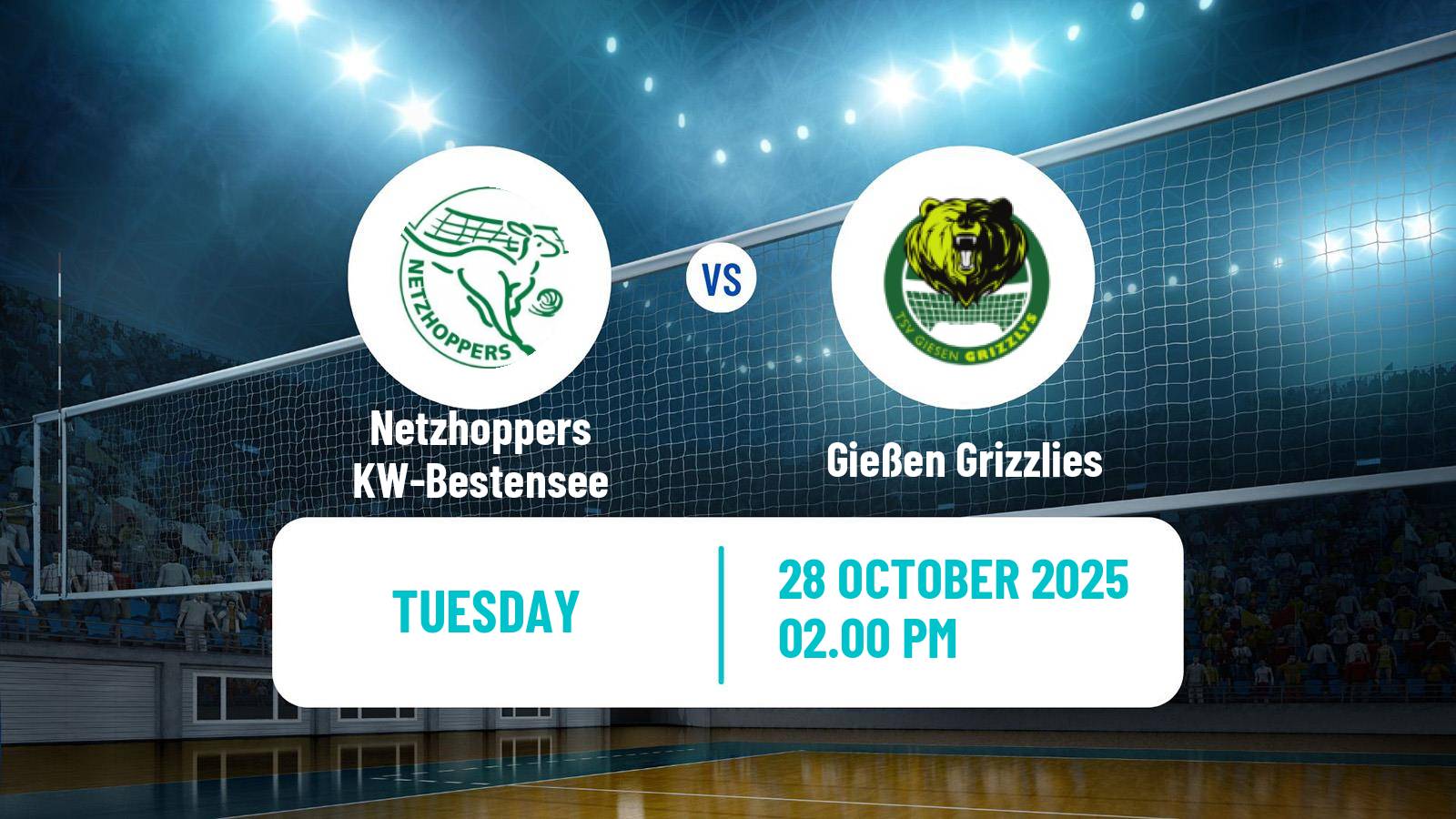 Volleyball German Bundesliga Volleyball Netzhoppers KW-Bestensee - Gießen Grizzlies