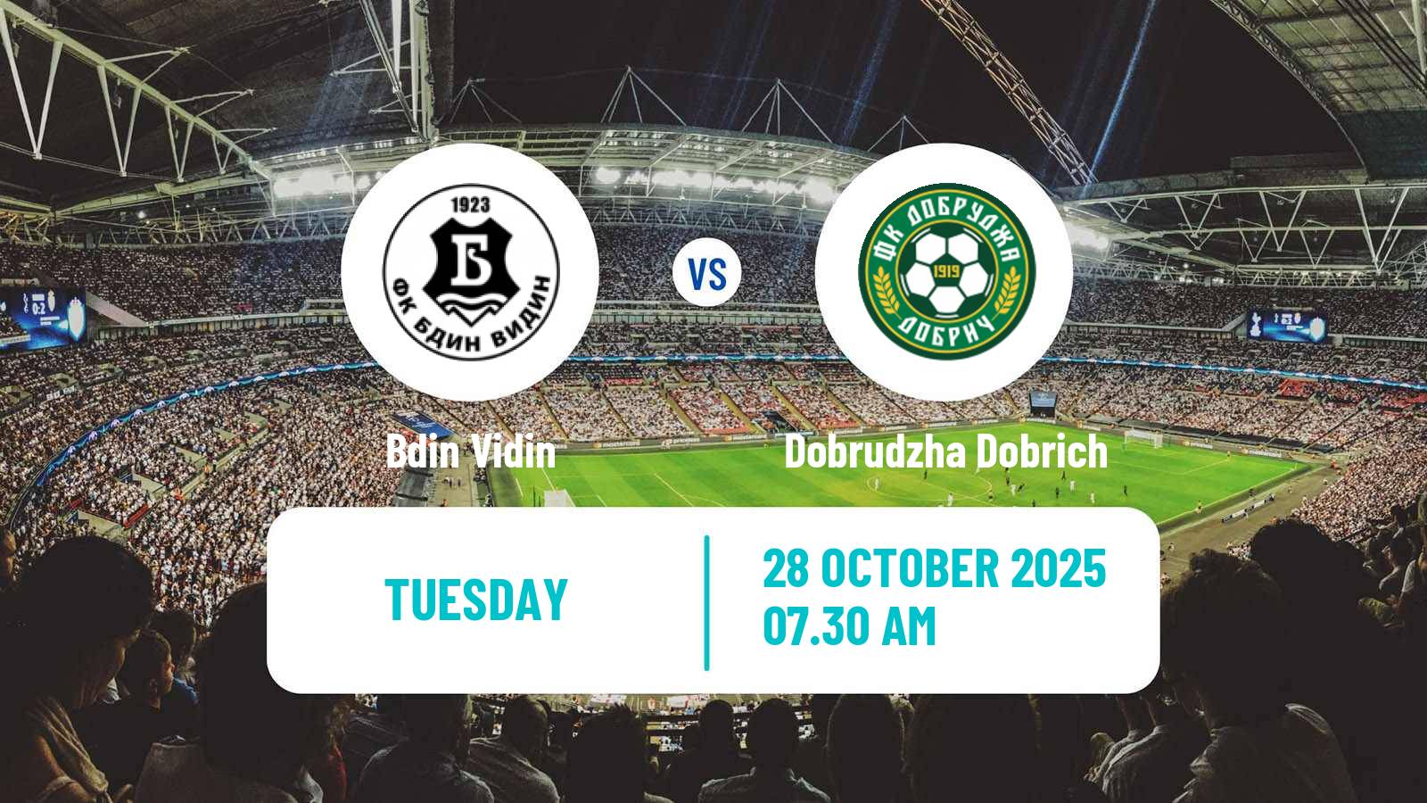 Football Bulgarian Cup Bdin Vidin - Dobrudzha Dobrich