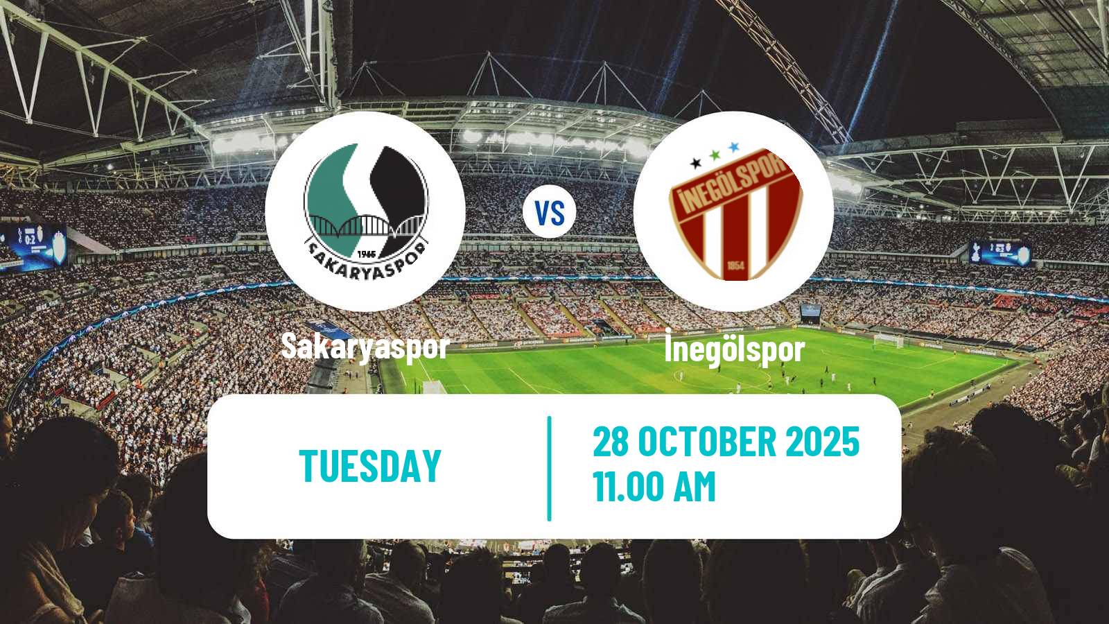 Football Turkish Cup Sakaryaspor - İnegölspor
