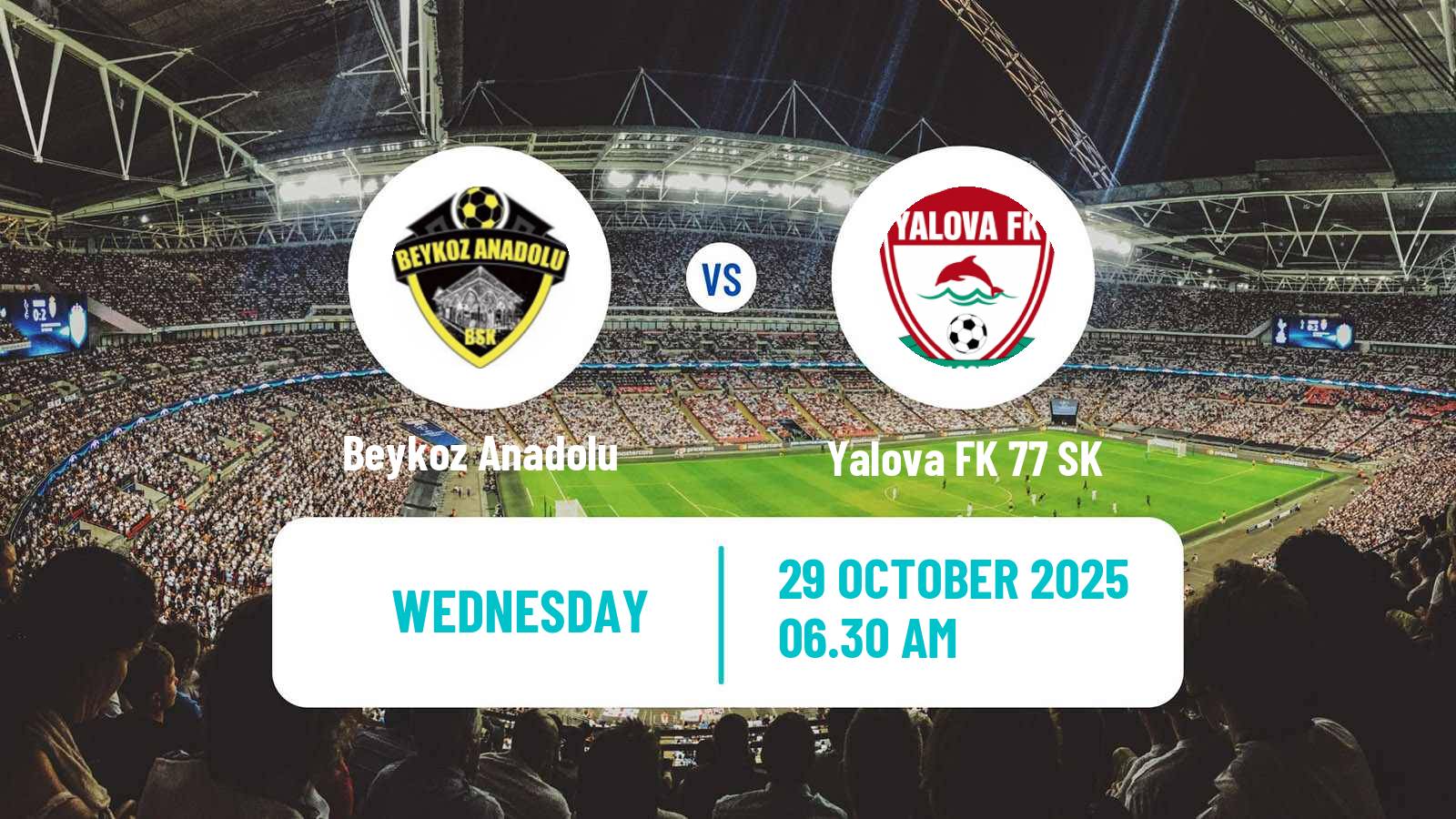 Football Turkish Cup Beykoz Anadolu - Yalova FK 77 SK