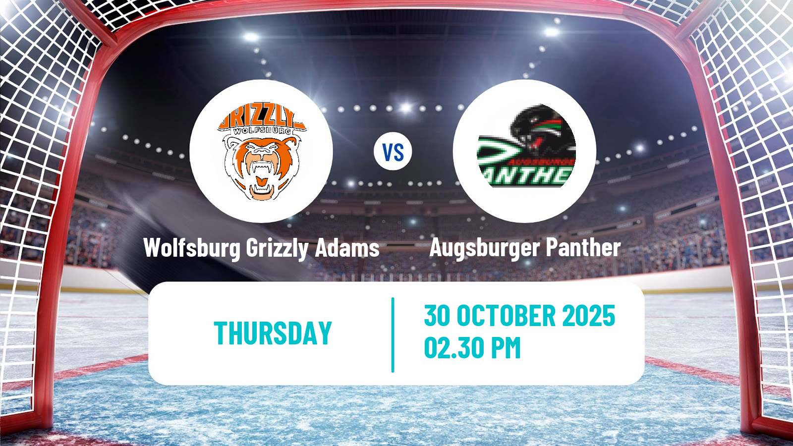 Hockey German Ice Hockey League Wolfsburg Grizzly Adams - Augsburger Panther
