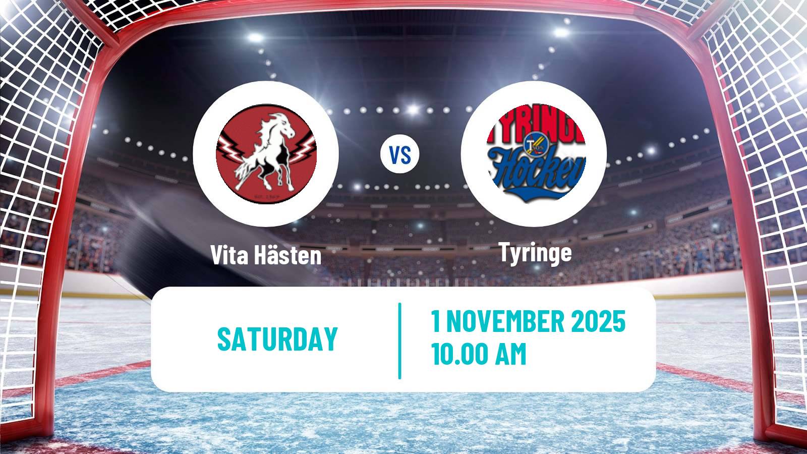 Hockey Swedish HockeyEttan Sodra Vita Hästen - Tyringe