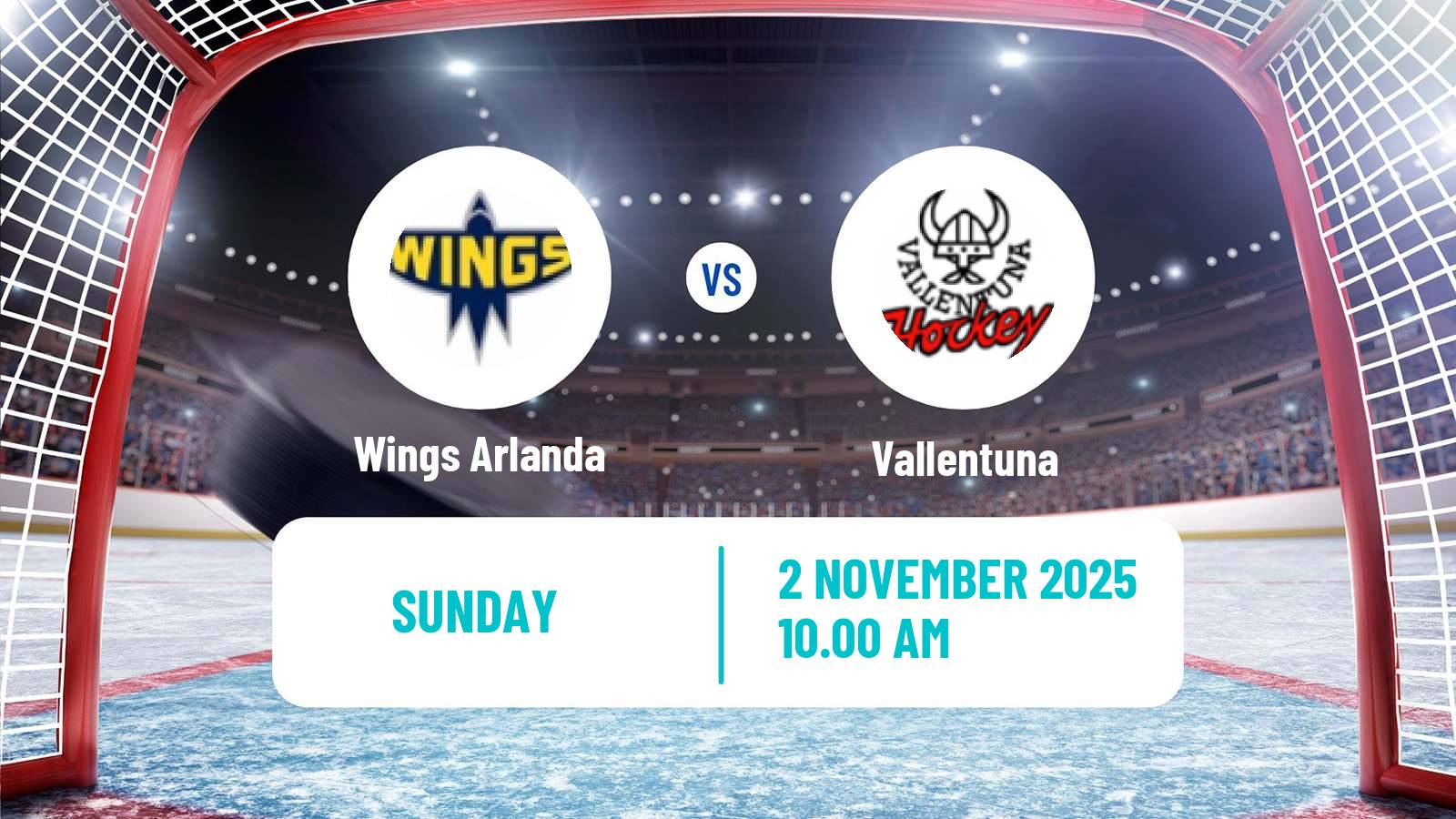 Hockey Swedish HockeyEttan Norra Wings Arlanda - Vallentuna