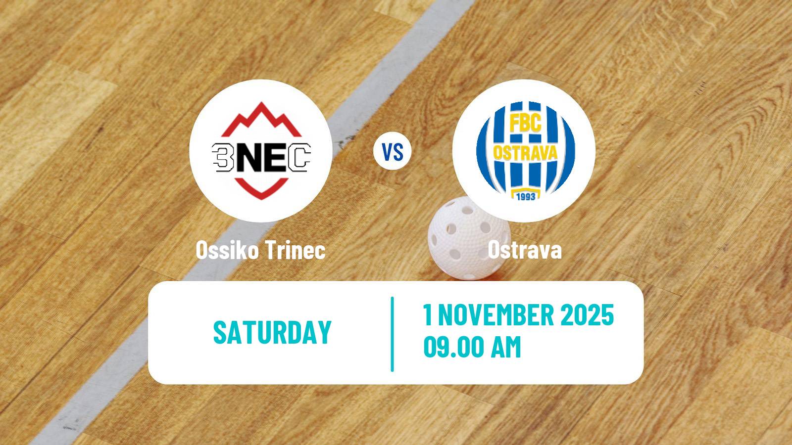 Floorball Czech Extraliga Floorball Women Ossiko Trinec - Ostrava Floorball Czech Extraliga Floorball Women Ossiko Trinec - Ostrava