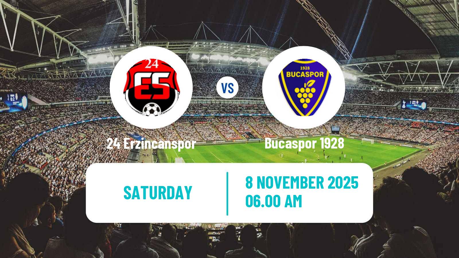 Football Turkish Second League White Group 24 Erzincanspor - Bucaspor 1928