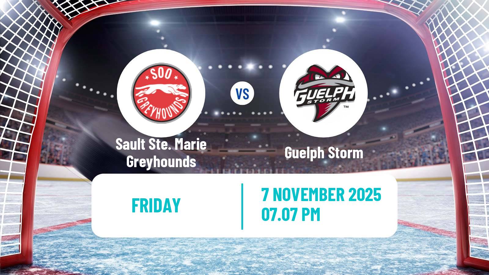 Hockey OHL Sault Ste. Marie Greyhounds - Guelph Storm