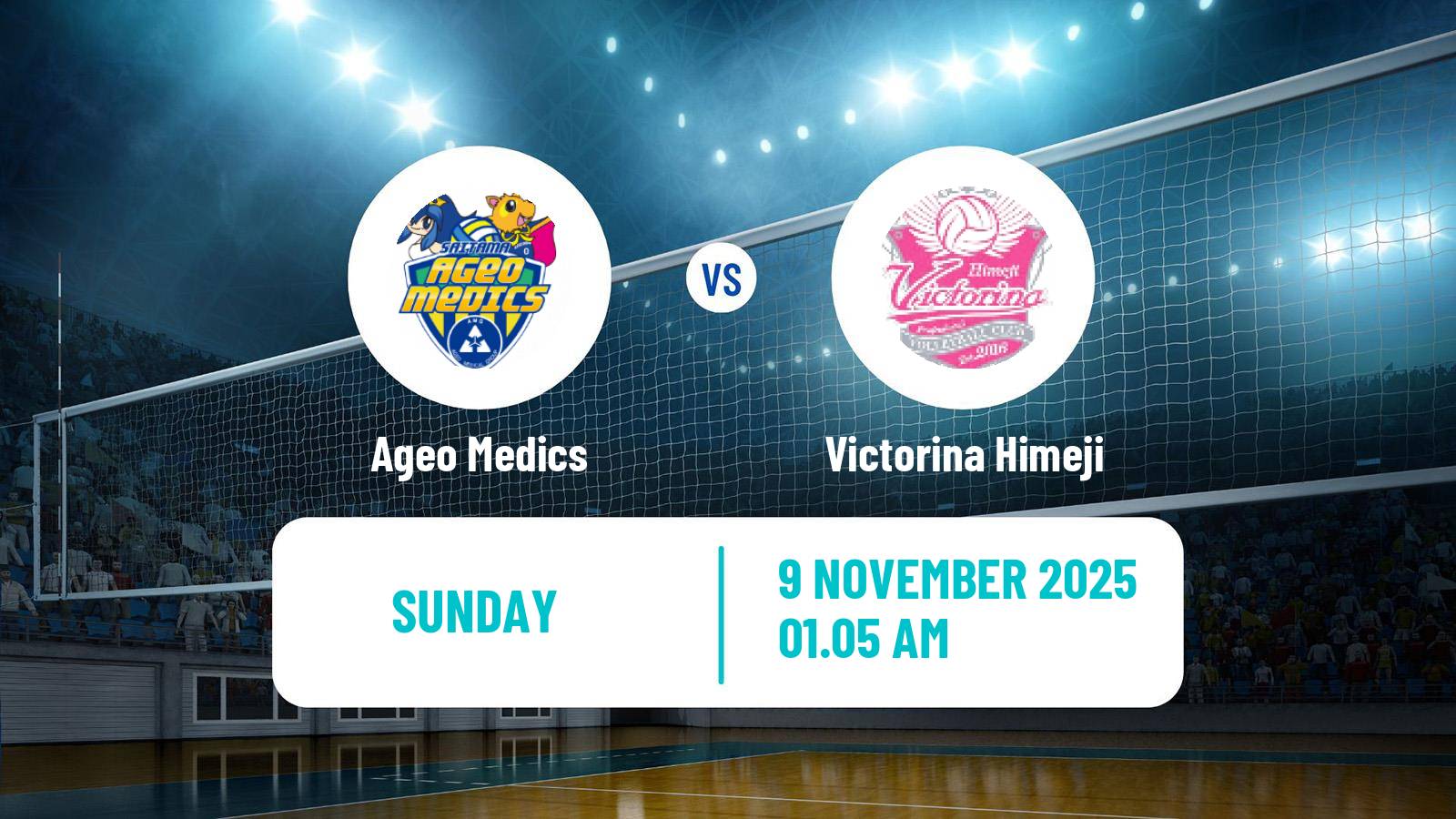 Volleyball Japan V Premier League Women Ageo Medics - Victorina Himeji