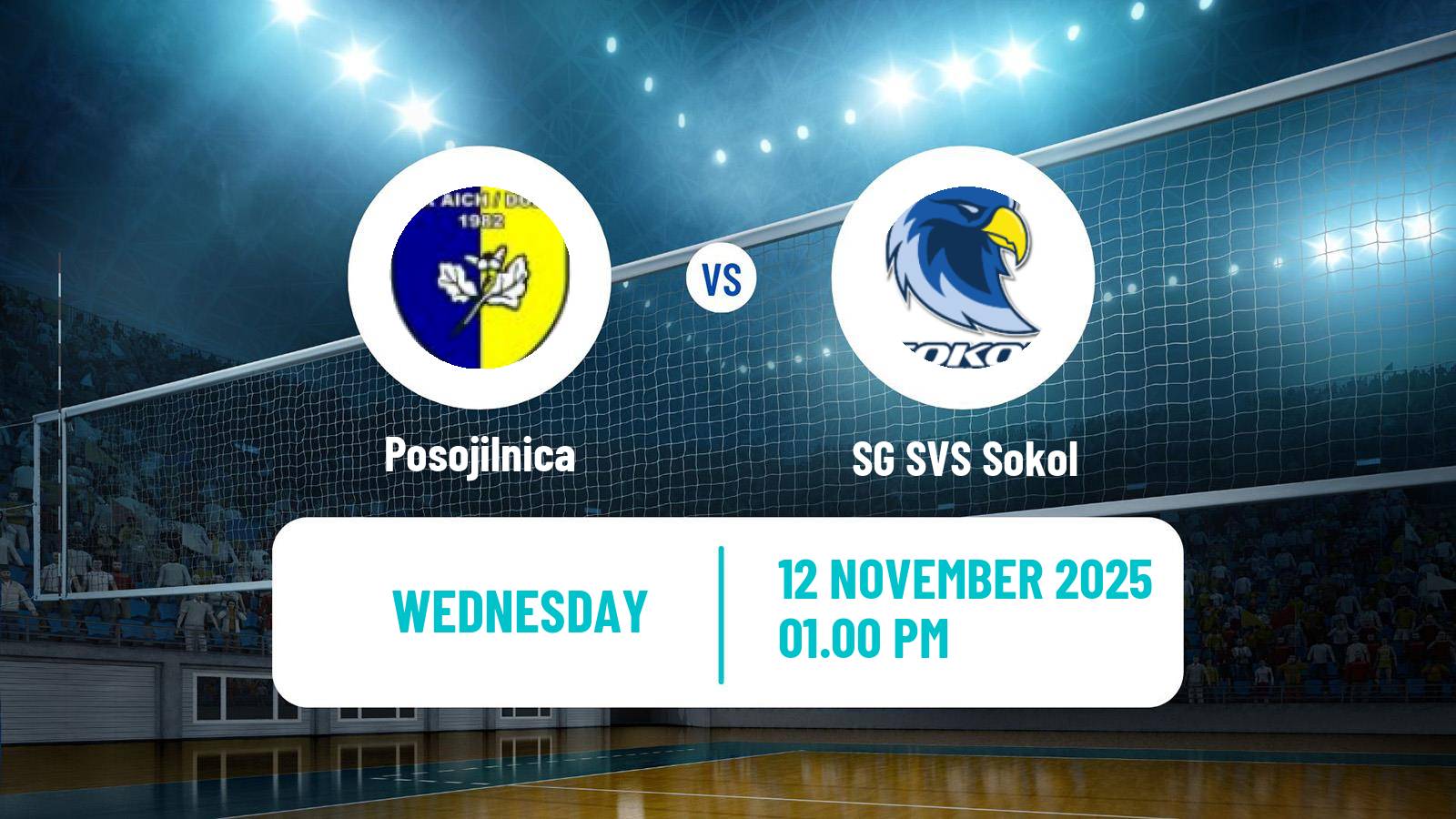 Volleyball Austrian Volley League Posojilnica - SG SVS Sokol