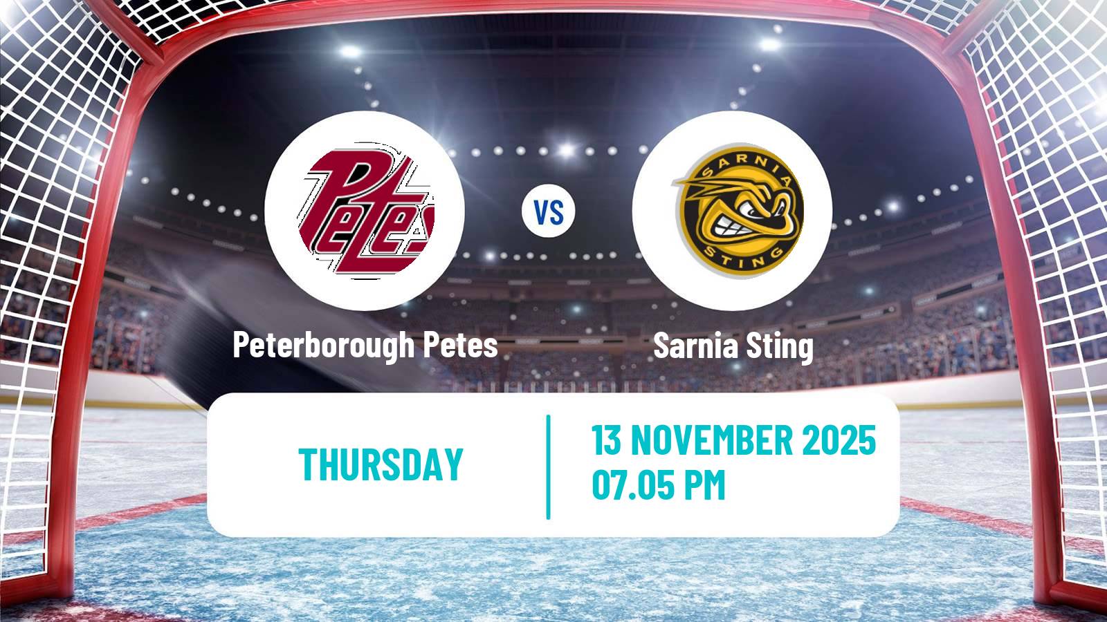 Hockey OHL Peterborough Petes - Sarnia Sting