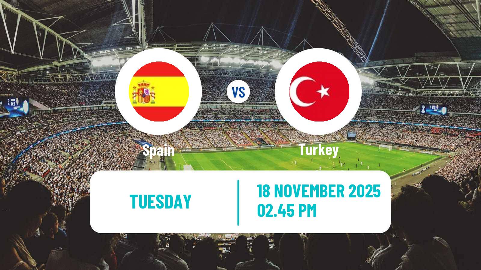 Football FIFA World Cup Spain - Turkey